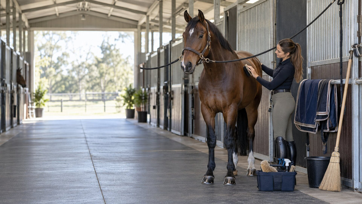 Stable & Grooming