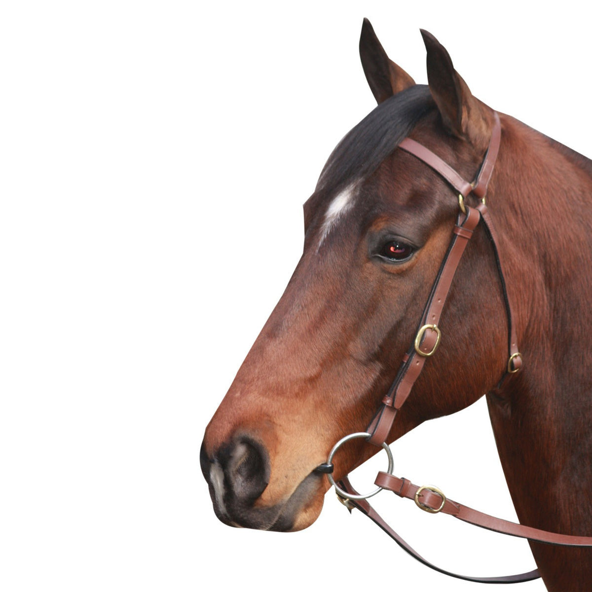 Pony size McAlister Barcoo stock bridle, brown leather with brass fittings and plain reins