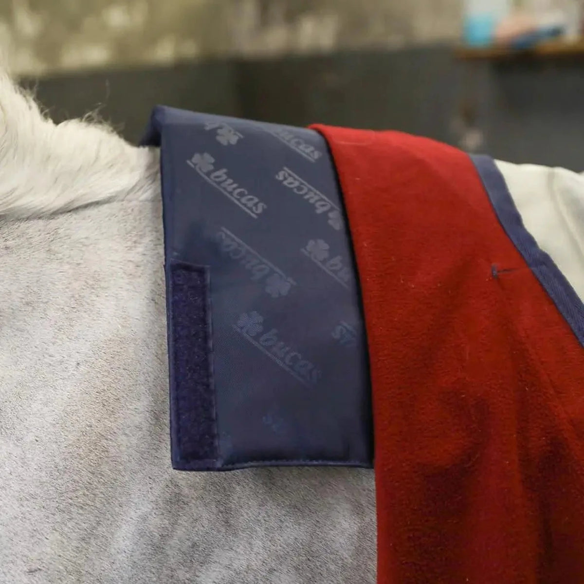 Navy Bucas wither pad with waterproof outer, one size fits all, protects mane and coat
