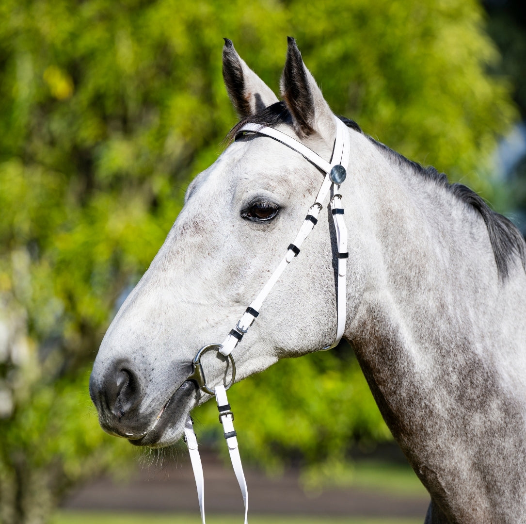 EP PVC Bridle