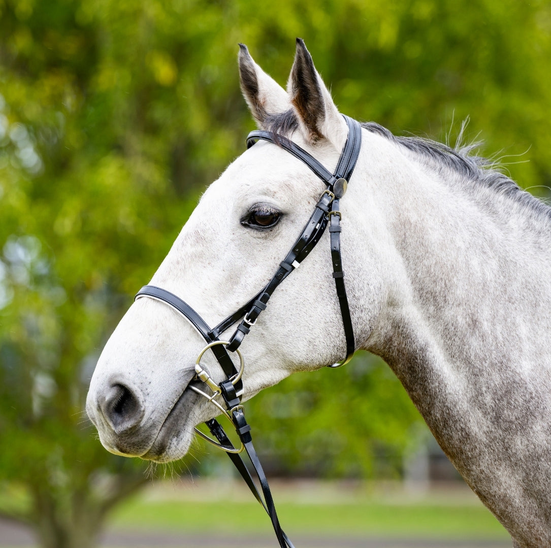 Eureka - Black PVC Noseband - Full
