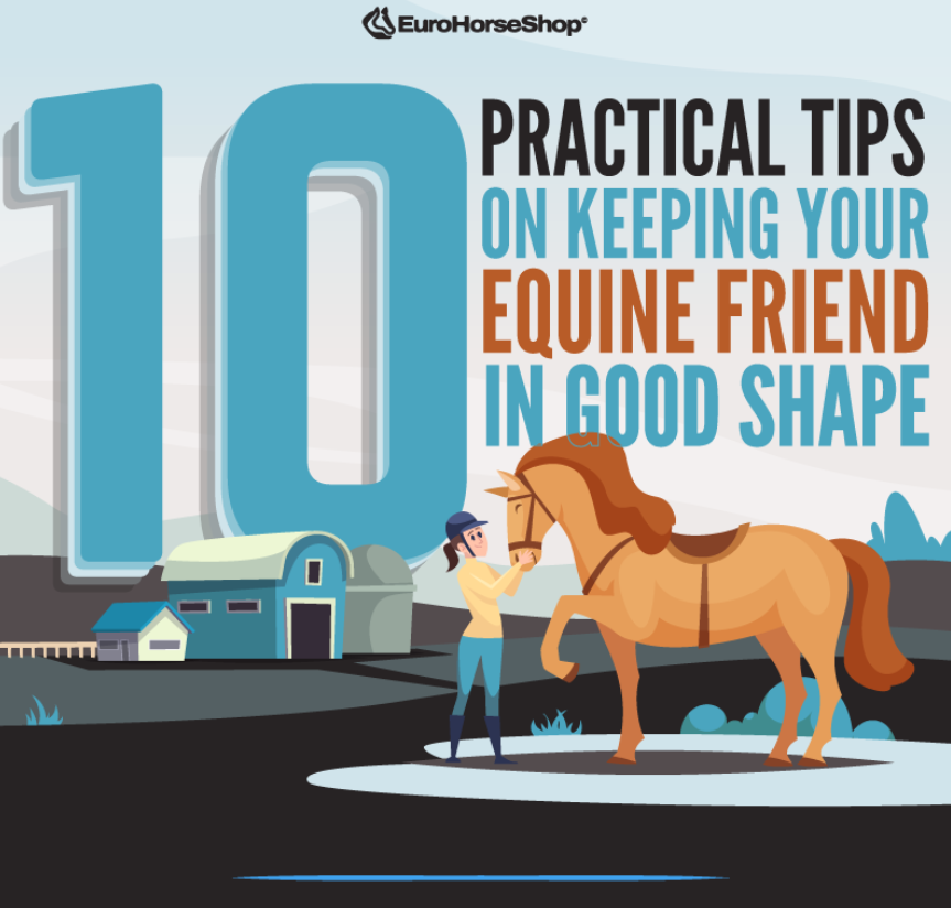 10 Practical Tips on Keeping Your Equine Friend in Good Shape