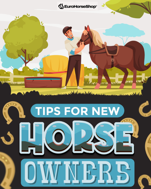 Tips for New Horse Owners