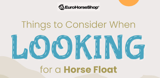 Things to Consider When Looking for a Horse Float