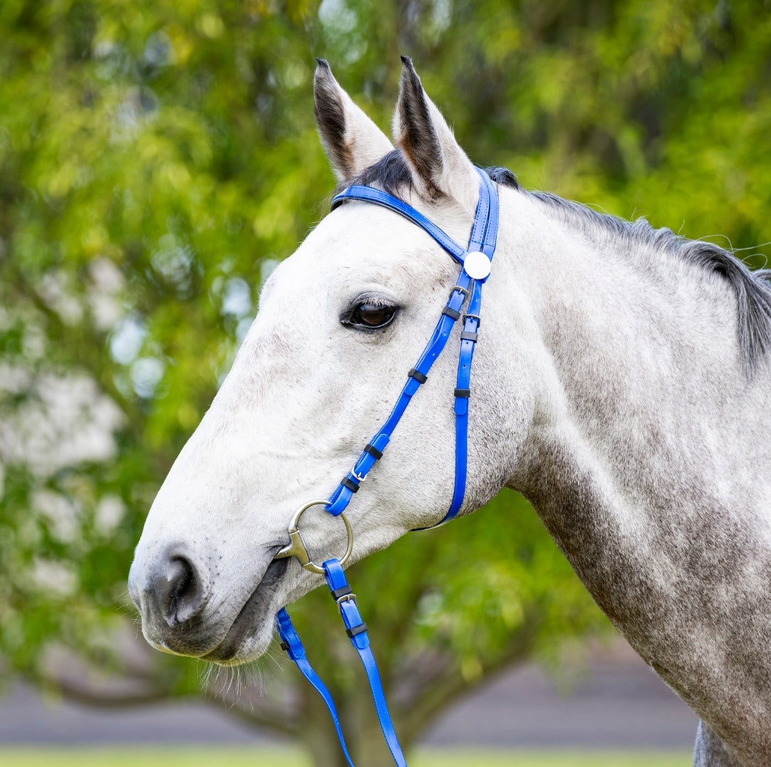 EP PVC Bridle