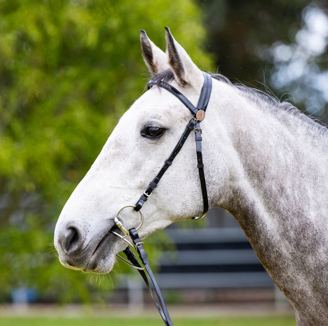 EP PVC Bridle