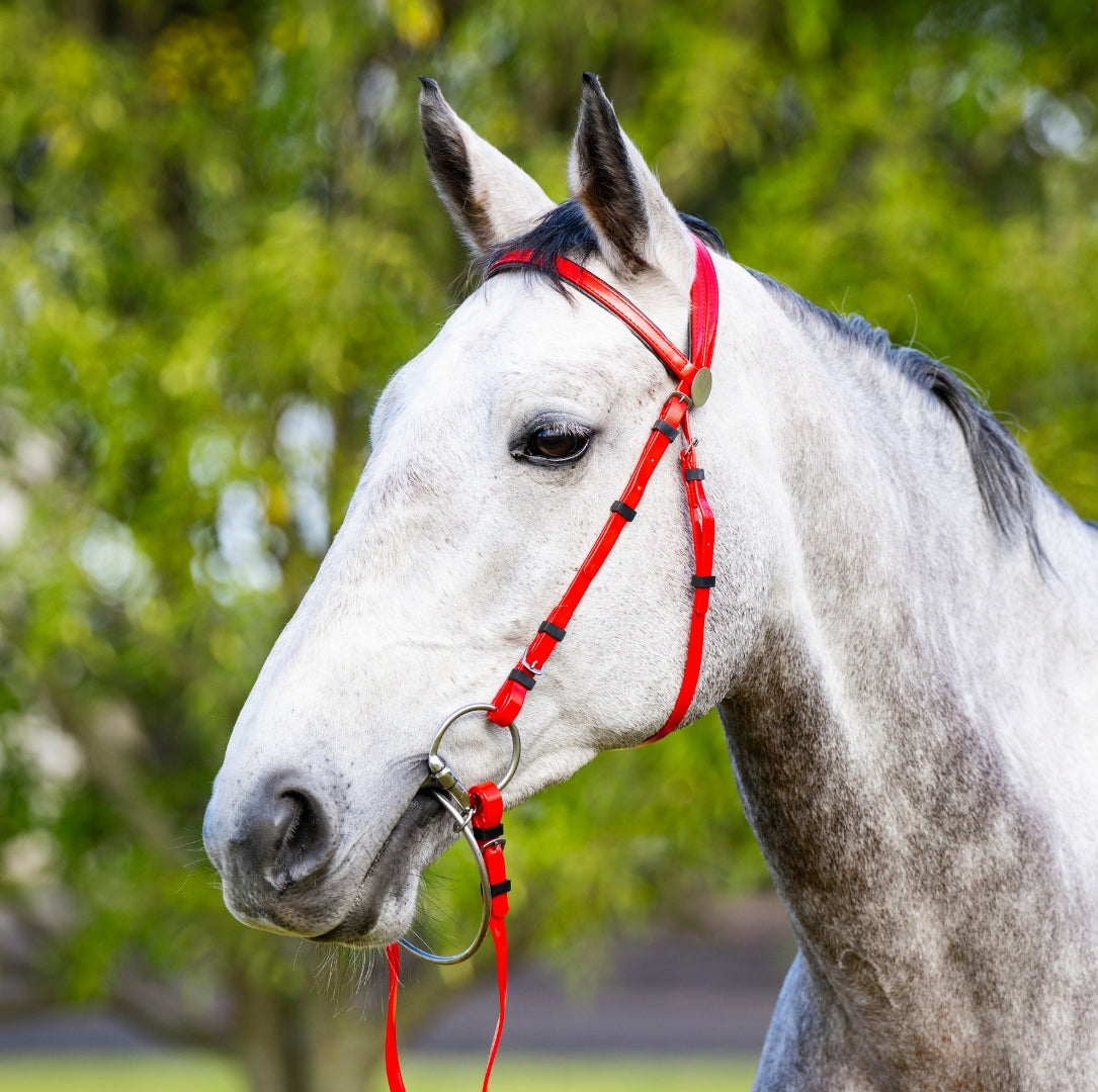 EP PVC Bridle